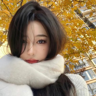 街头霸王4:新的羁绊